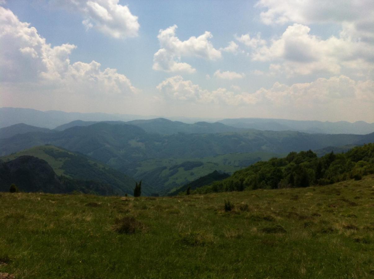 Pensiunea Skiland Muntele Băișorii Exterior foto