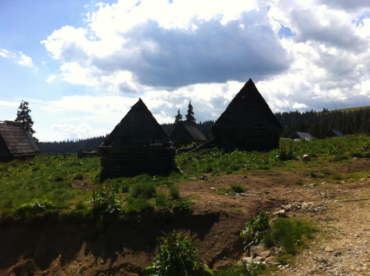 Pensiunea Skiland Muntele Băișorii Exterior foto